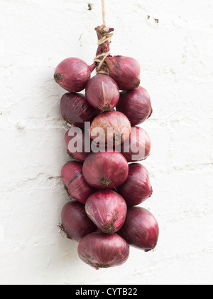 Un mazzetto di cipolle rosse appese su un dipinto di bianco di un muro di mattoni Foto Stock