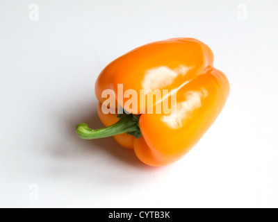 Arancio dolce Pepe Capsicum annuum su sfondo bianco Foto Stock