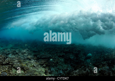 Onde che si infrangono sulla barriera corallina, visto da sotto la superficie, Palikir pass, Pohnpei, Stati Federati di Micronesia Foto Stock