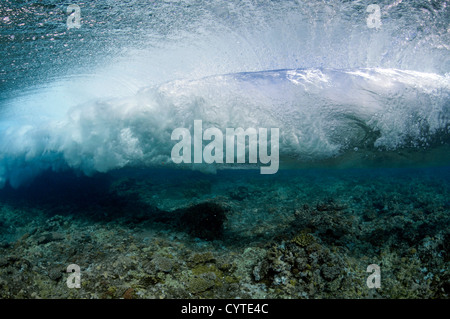 Onde che si infrangono sulla barriera corallina, visto da sotto la superficie, Palikir pass, Pohnpei, Stati Federati di Micronesia Foto Stock