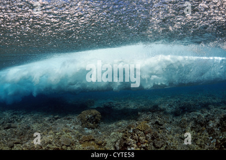 Onde che si infrangono sulla barriera corallina, visto da sotto la superficie, Palikir Pass, Pohnpei, Stati Federati di Micronesia Foto Stock