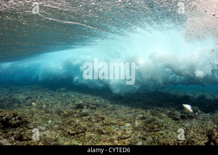 Onde che si infrangono sulla barriera corallina, visto da sotto la superficie, Palikir Pass, Pohnpei, Stati Federati di Micronesia Foto Stock