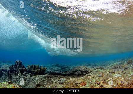 Onde che si infrangono sulla barriera corallina, visto da sotto la superficie, Palikir Pass, Pohnpei, Stati Federati di Micronesia Foto Stock