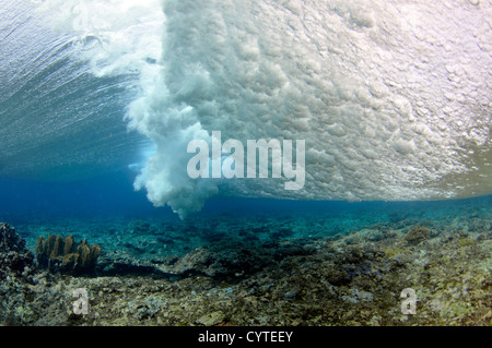 Onde che si infrangono sulla barriera corallina, visto da sotto la superficie, Palikir Pass, Pohnpei, Stati Federati di Micronesia Foto Stock