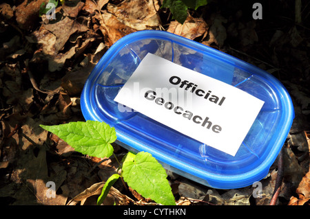 Concetto di geocaching con blue geocache box che mostra gli sport outdoor concept Foto Stock