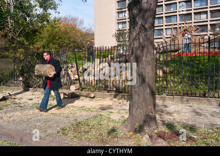 New York, NY - 4 novembre 2012 l'uomo porta un registro da un albero abbattuto su Houston Street dopo il passaggio dell uragano di sabbia. Foto Stock