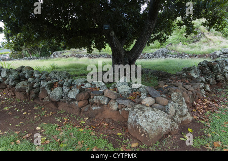 Elk284-7552 Hawaii, Kauai, Fiume Wailua parco statale, Holioholoku Heiau Foto Stock