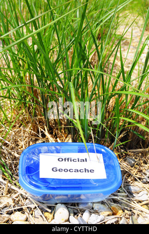 Concetto di geocaching con blue geocache box che mostra gli sport outdoor concept Foto Stock