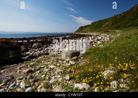 Vista lungo la costa al Drumadoon vicino Blackwaterfoot sull'isola di Arran, Scotland, Regno Unito Foto Stock