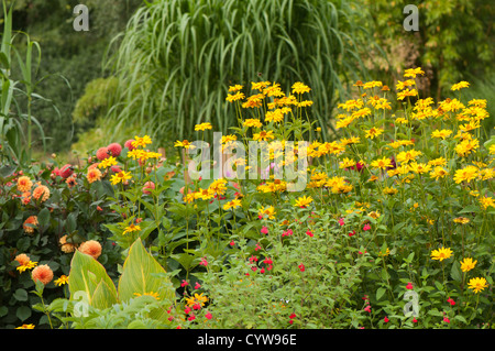Fiore mista confine in estate, Giardini botanici di Birmingham, West Midlands, England, Regno Unito Foto Stock