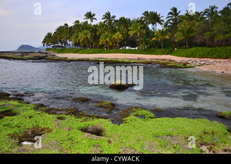 Ko'Olina Beach, sul lato ovest dell isola di Oahu, Hawaii, STATI UNITI D'AMERICA Foto Stock