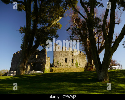 Restormel Castle, Cornwall, Inghilterra. Regno Unito. Polarizzato. Foto Stock