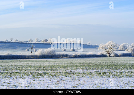 Campi coperti in uno spesso strato di ghiaccio in inverno Ternhill Shropshire Inghilterra Foto Stock