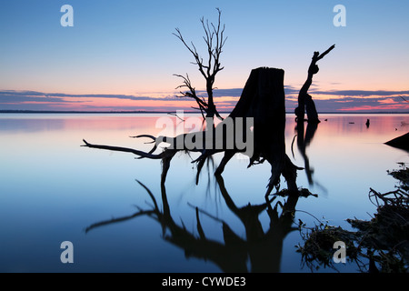 Lake Bonney Riverland Sud Australia Foto Stock