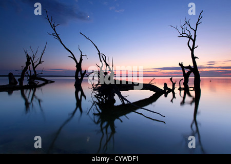 Lake Bonney Riverland Sud Australia Foto Stock