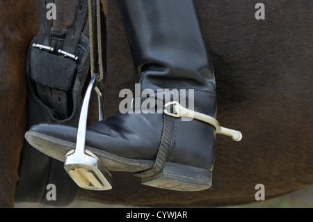 Stivali da cavallo e speroni Foto Stock