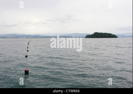 Contrassegnato out zone piscina nel Parco Tunku Abdul Rahman, Sabah Malaysian Borneo Foto Stock