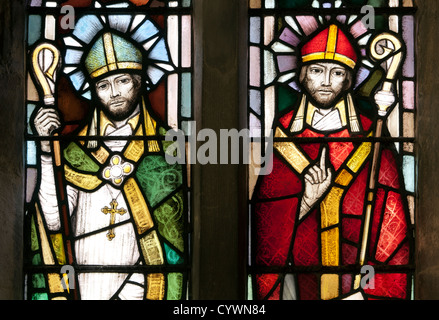 San Patrizio e san Hugh vetro macchiato. Foto Stock