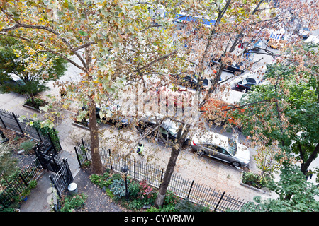 Tree chirurgo in cherry picker inizia lo smontaggio albero sradicato dall uragano Sandy & impalato su giardino recinto New York City Foto Stock