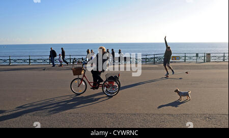 Brighton SUSSEX REGNO UNITO 11 Novembre 2012 - la gente fuori a godersi il sole autunnale su Brighton e Hove lungomare questo pomeriggio . Foto Stock