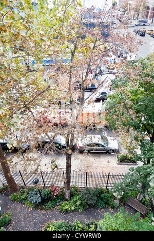 Tree chirurgo in cherry picker utilizzando sega per iniziare lo smontaggio albero sradicato dall uragano Sandy & impalato su giardino recinto di New York Foto Stock