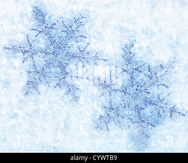 Bella Blu di fiocchi di neve isolati su neve vacanze inverno sfondo Foto Stock