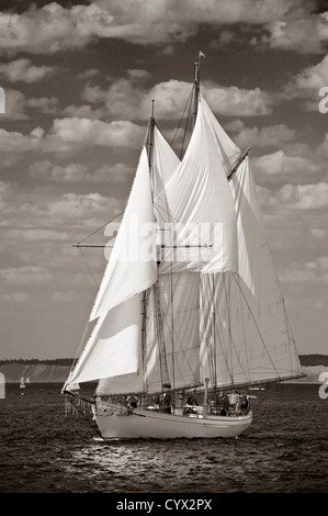 Una goletta barca a vela che partecipano al Port Townsend, Washington la barca di legno Festival a pieno la vela sul Puget Sound acque. Foto Stock