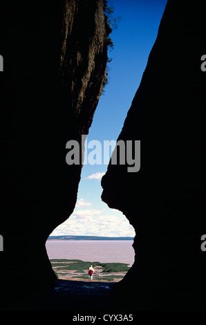 Hopewell Rocks, New Brunswick, Canada - persona che cammina sulla spiaggia con la bassa marea lungo la baia di Fundy Foto Stock