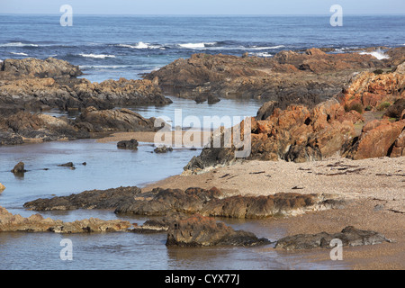 Spiaggia rocciosa lungo il litorale Tarkine. A nord-ovest della Tasmania, Australia. Foto Stock