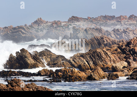 Spiaggia rocciosa lungo il litorale Tarkine. A nord-ovest della Tasmania, Australia. Foto Stock