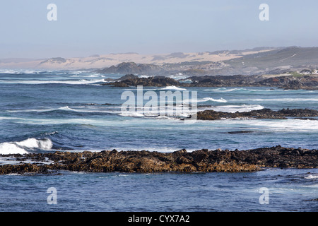 Spiaggia rocciosa lungo il litorale Tarkine. A nord-ovest della Tasmania, Australia. Foto Stock