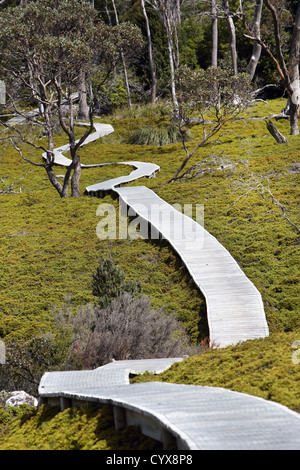 La Overland Track. La Tasmania, Australia. Foto Stock