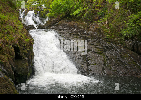 Il Galles, Parco Nazionale di Snowdonia, Betws-y-Coed, Swallow Falls Foto Stock