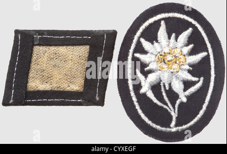 Collare patch per il 7 ° Waffen-SS-Division 'Prinz Eugen', RZM-macchina ricamata versione su tessuto nero, insieme con un 'Edelweiss' SS-armbadge,storico,storico,anni trenta,20 ° secolo,servizio segreto,servizio segreto,servizi segreti,servizi di sicurezza,polizia,servizio armato,servizi armati,NS,nazional socialismo,nazismo,terzo pezzo,taglio di oggetti-nazisti,taglio-in-Germania,taglio-fuori-uniforme,rifacimenti,taglio-accessori-taglio,Nazi-fuori-fuori-conto,rifacimenti,taglio-e-Germania,taglio-taglio-fuori-taglio-di-accessori,taglio-taglio,taglio-di-e-di-accessori,taglio,taglio-diritti,taglio,taglio-di-di-taglio,Nazi-fuori,Nazi-fuori Foto Stock