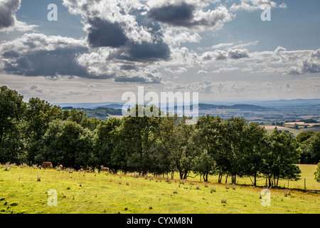 Vista dalla Torre di BROADWAY SU VALE OF EVESHAM COTSWOLDS INGHILTERRA UK con vista a distanza della Malvern Hills. Foto Stock