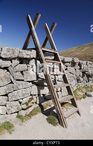 Tipico stile sulla Mourne muro sul Slieve Donard. Eire Irish Europa settentrionale Repubblica Foto Stock