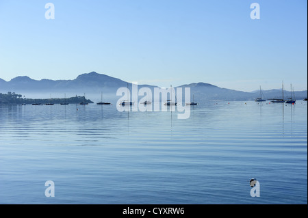 In mattinata il porto di Port de Pollenca (Puerto Pollensa), Maiorca, SPAGNA Foto Stock