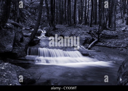 Una cascata in una foresta in North Conway, New Hampshire, STATI UNITI D'AMERICA Foto Stock