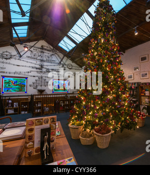 Bovey Tracey, Devon, Inghilterra. Il 10 novembre 2012. Un albero di Natale e le sue decorazioni esposte in un negozio a Bovey Tracey. Foto Stock