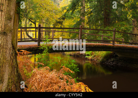 Ponte su acqua nera Rhinefield unità ornamentali la New Forest Hampshire England Regno Unito Foto Stock