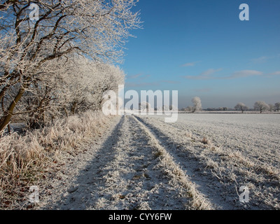 Un paesaggio invernale con un paese bridleway con alberi e campi dopo un pesante frost Foto Stock