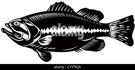 Illustrazione di un black sea bass vista laterale la xilografia style Foto Stock