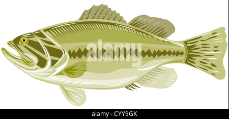 Illustrazione di un black sea bass vista laterale la xilografia style Foto Stock