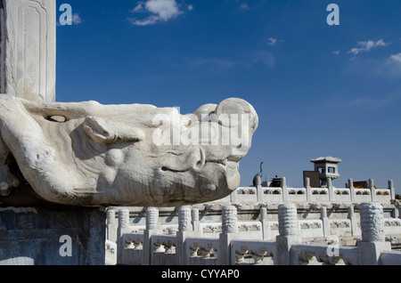 Cina, Pechino, Città Proibita (aka Zijin Cheng). Palazzo degli Imperatori dalle dinastie Ming e Qing. Foto Stock