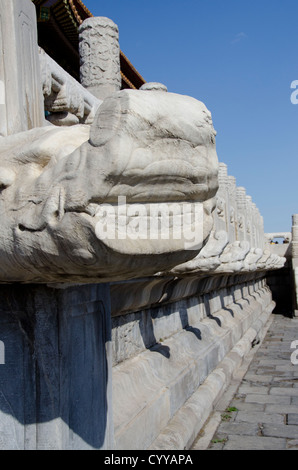 Cina, Pechino, Città Proibita (aka Zijin Cheng). Palazzo degli Imperatori dalle dinastie Ming e Qing. Foto Stock