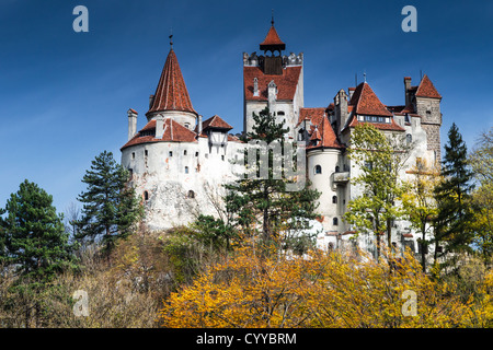 Il castello medievale di crusca custodito in passato il confine tra Valacchia e Transilvania. Mito di Dracula. Foto Stock