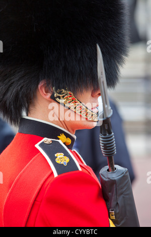 Membro della Guardia scozzese a Buckingham Palace di Londra Inghilterra, Regno Unito Foto Stock