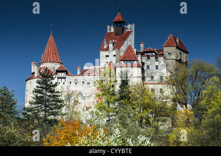 Il castello medievale di crusca custodito in passato il confine tra Valacchia e Transilvania. Conosciuto per il mito di Dracula Foto Stock