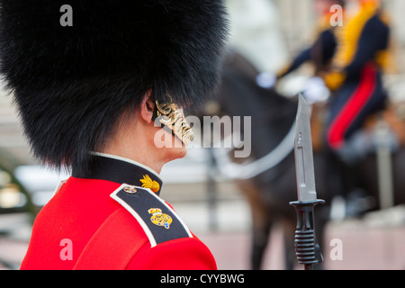 Membro della Guardia scozzese a Buckingham Palace di Londra Inghilterra, Regno Unito Foto Stock