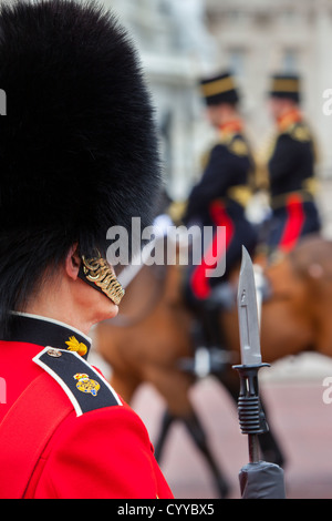 Membro della Guardia scozzese a Buckingham Palace di Londra Inghilterra, Regno Unito Foto Stock